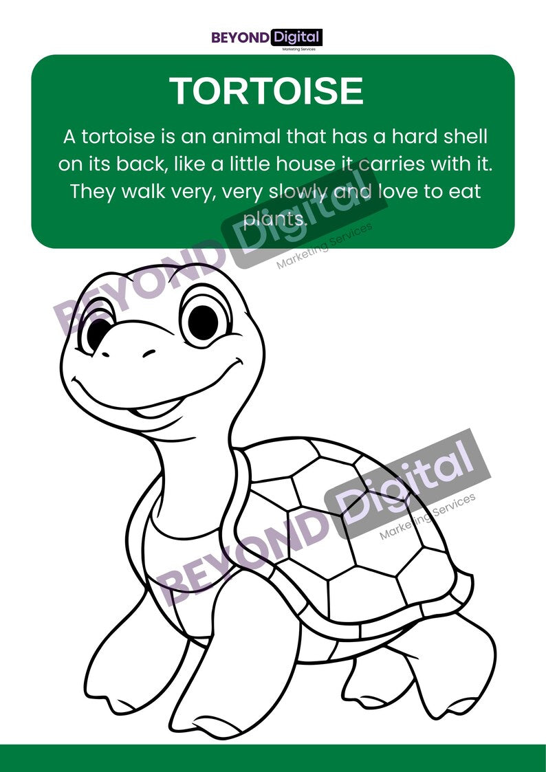 Learn & Colour Educational Animal Colouring Pages