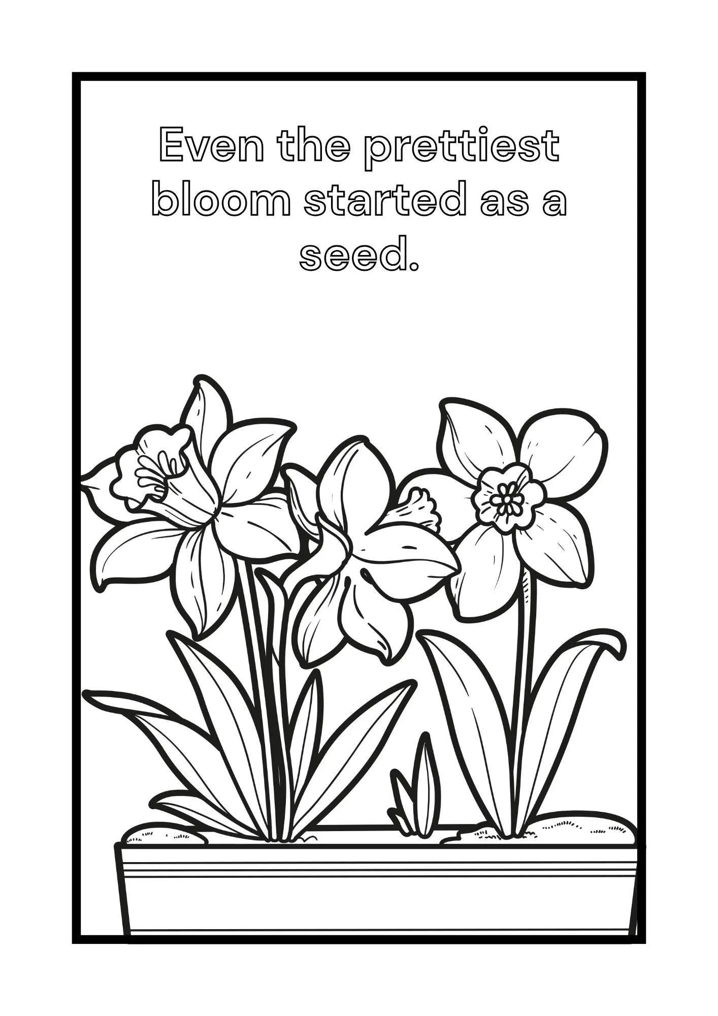 Flowers Colouring Pages