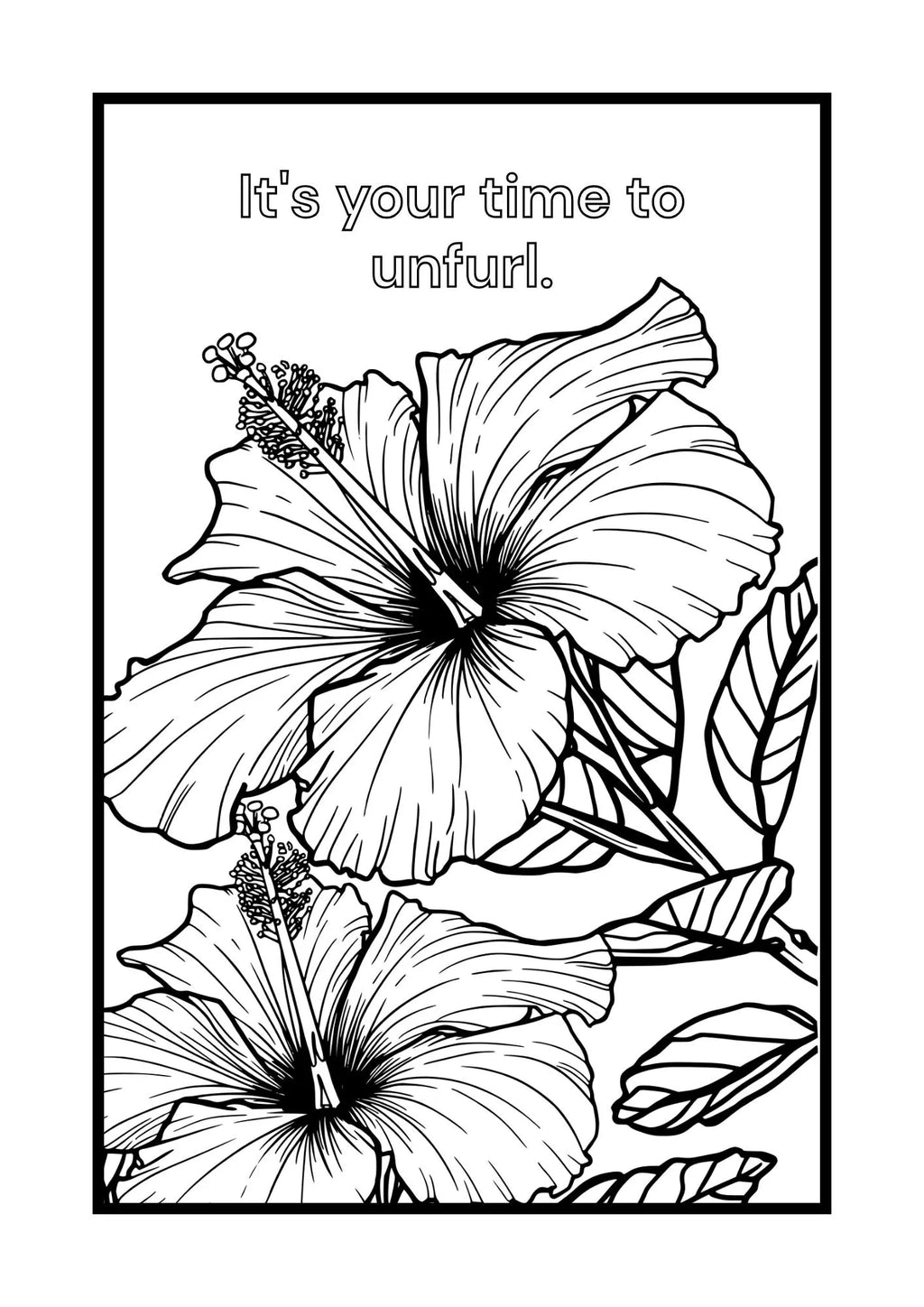 Flowers Colouring Pages